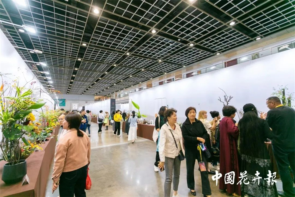 【采薇專欄】傳統(tǒng)插花要破圈兒？17個(gè)流派、名師的200個(gè)作品點(diǎn)亮南京“最美花展”